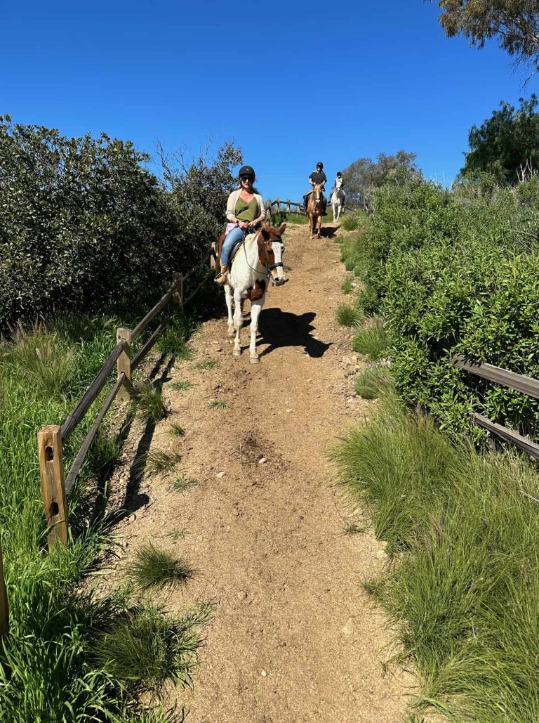 Guided Trail Sessions - Riding Academy